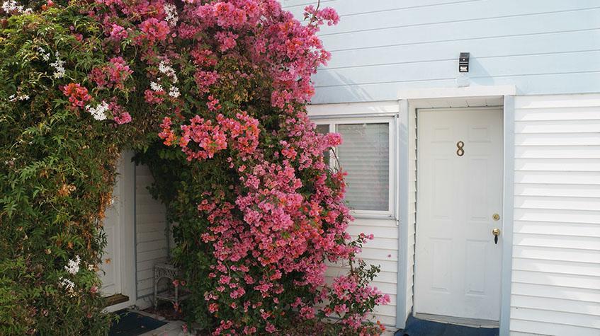 Stinson Beach Motel Exterior foto